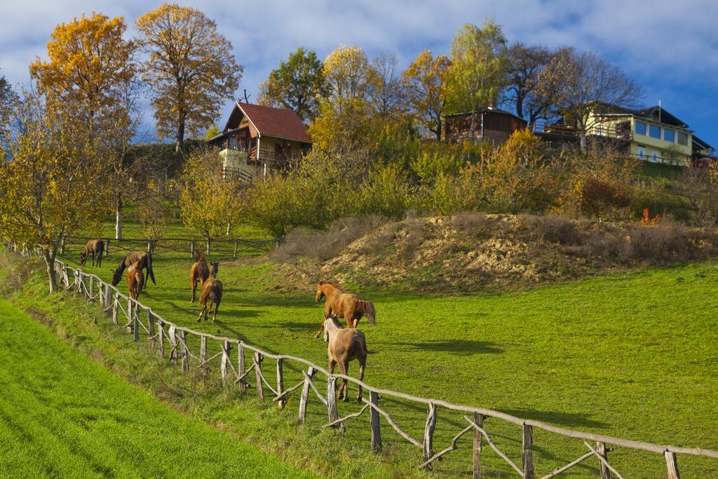 Country House Na Malenom Brijegu Bjelovar Rom bilde