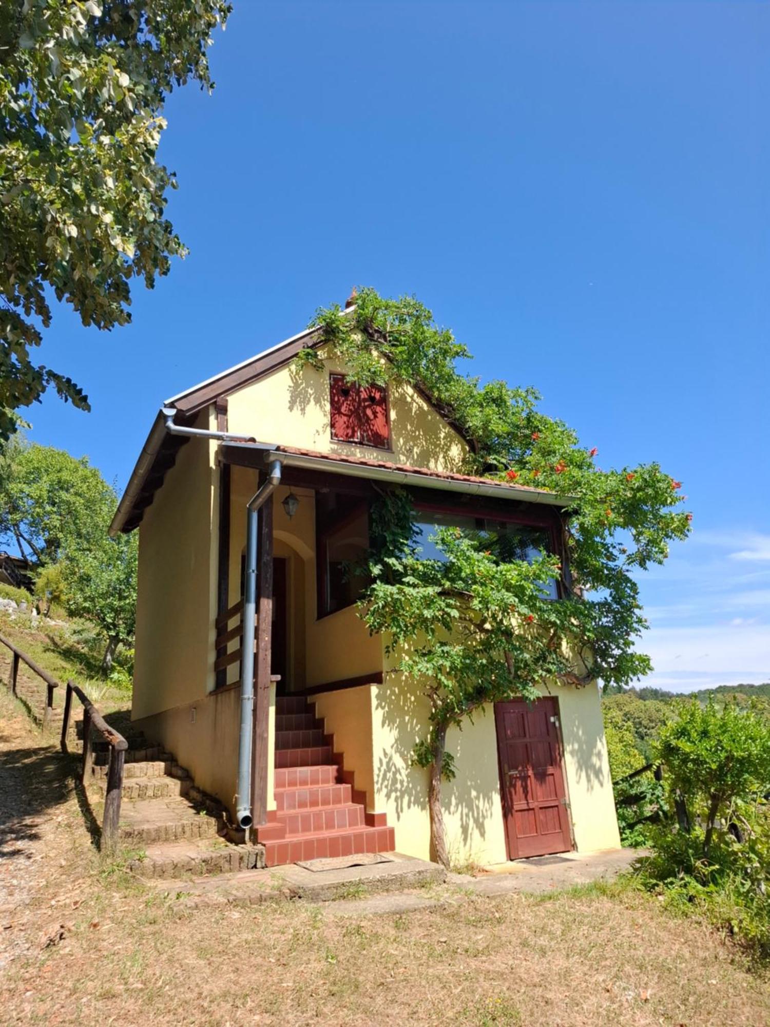 Country House Na Malenom Brijegu Bjelovar Eksteriør bilde