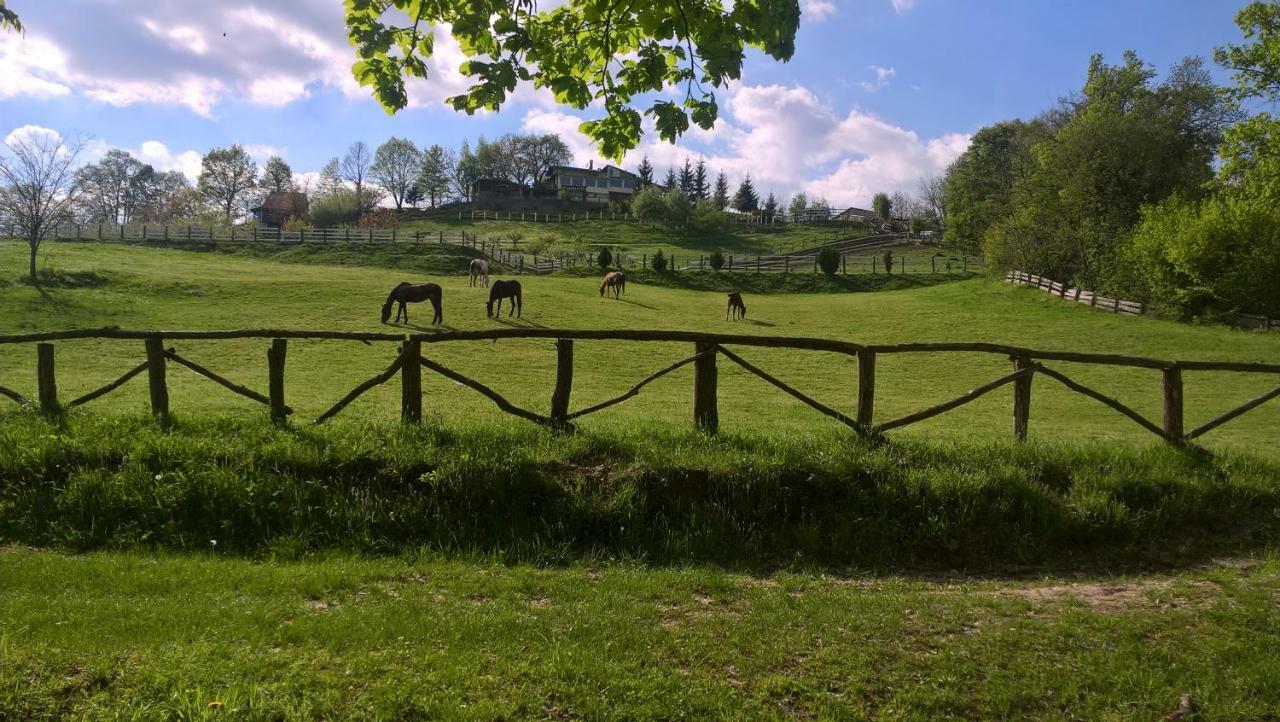 Country House Na Malenom Brijegu Bjelovar Eksteriør bilde